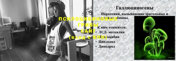 apvp Аркадак