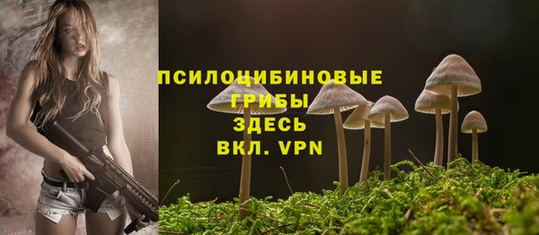 ГАЛЛЮЦИНОГЕННЫЕ ГРИБЫ Армянск