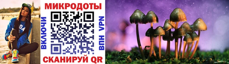 Псилоцибиновые грибы GOLDEN TEACHER  хочу   Волгоград 