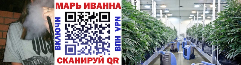 как найти закладки  Волгоград  Каннабис AK-47 